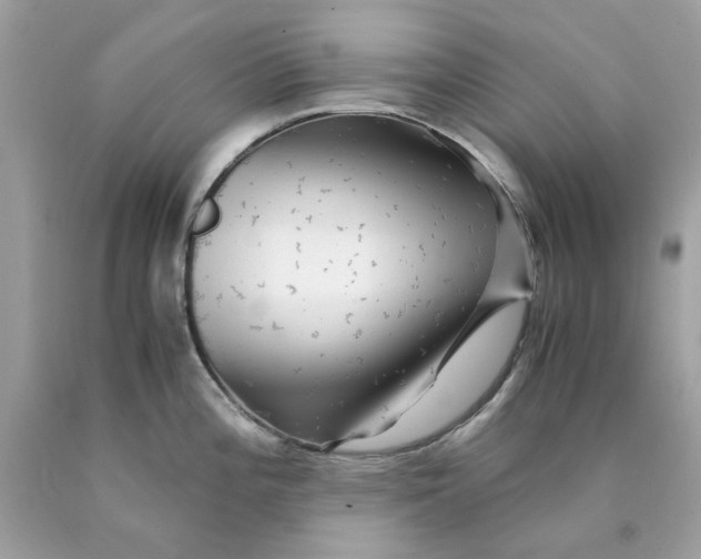 X0000089971196200707202004