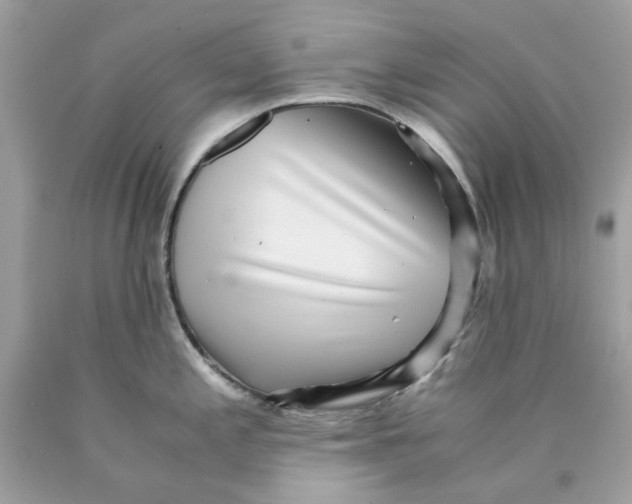 X0000089971197200707202004