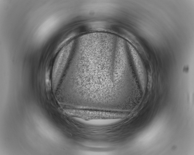 X0000089971198200707202004