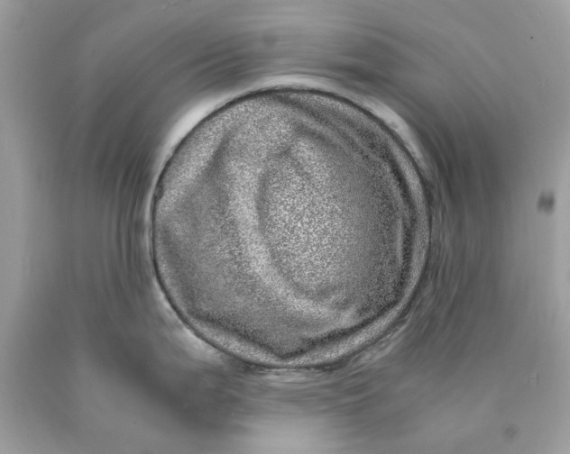 X0000089971199200707202004