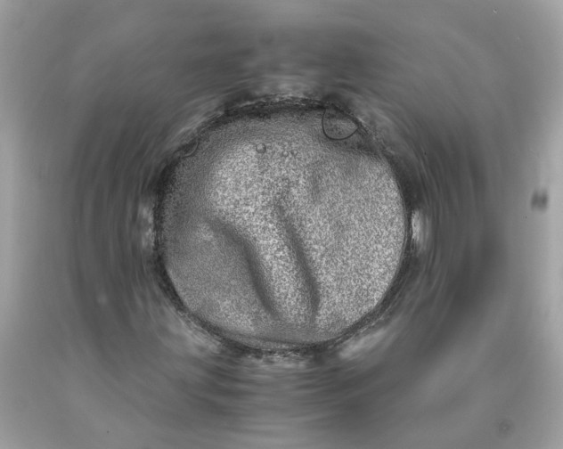 X0000089971203200707202003