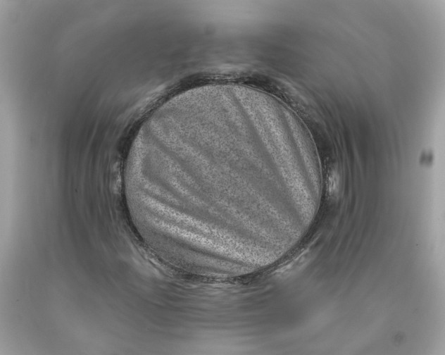 X0000089971204200707202003