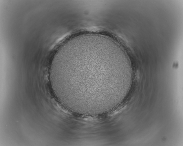 X0000089971205200707202003