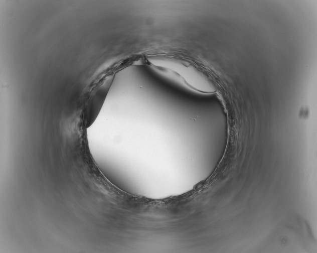 X0000089971206200707202003