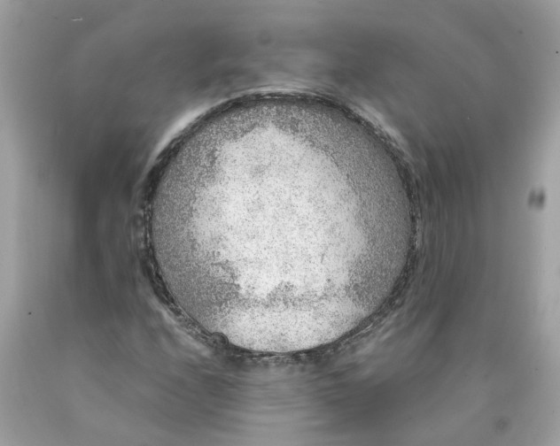 X0000089971208200707202003