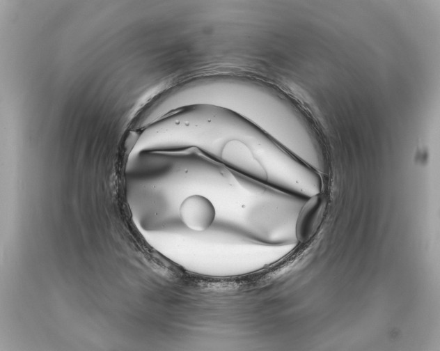 X0000089971210200707202003