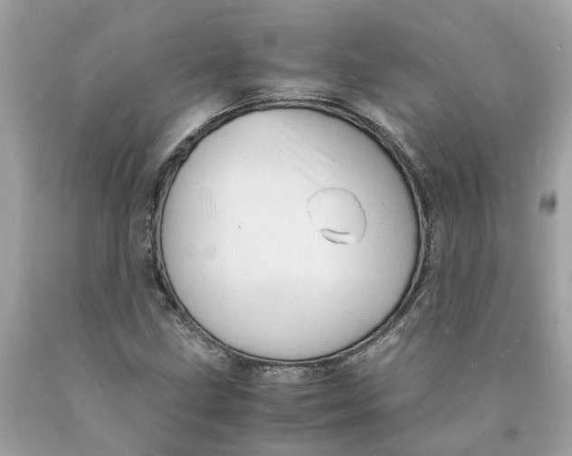 X0000089971211200707202003