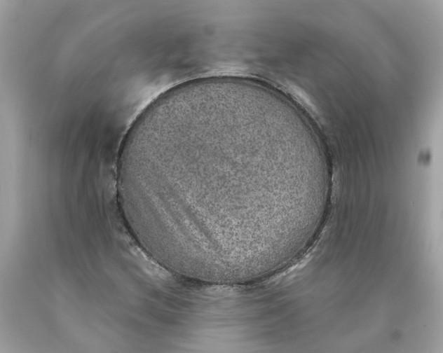 X0000089971212200707202003