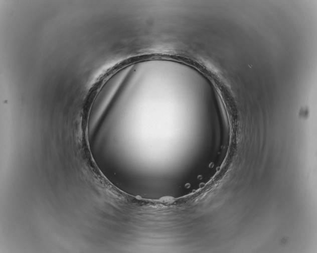 X0000089971214200707202003