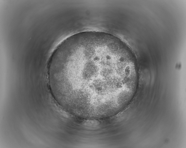 X0000089971215200707202003