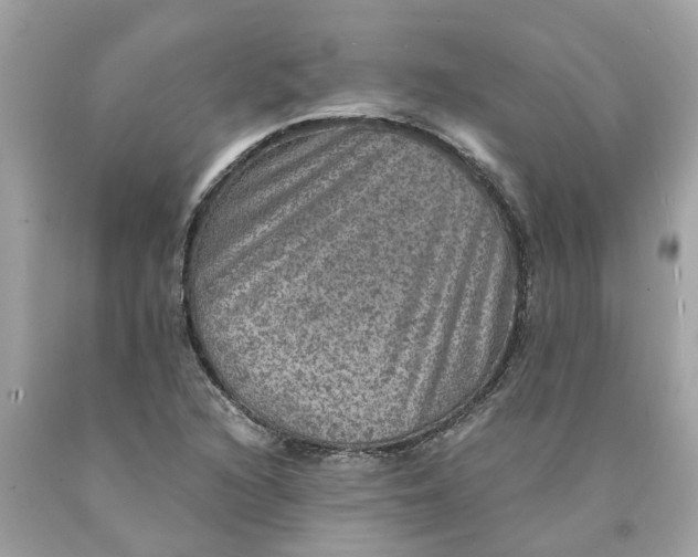 X0000089971216200707202003