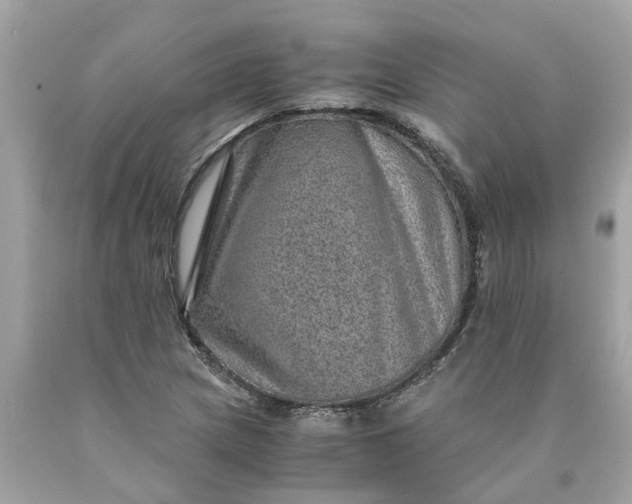 X0000089971217200707202003