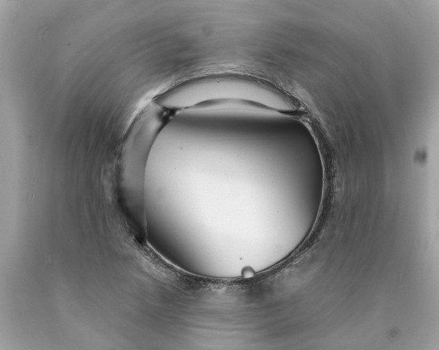 X0000089971218200707202003