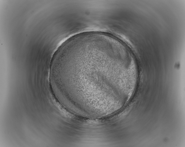 X0000089971220200707202003