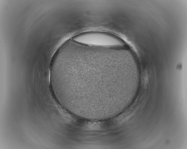 X0000089971221200707202003