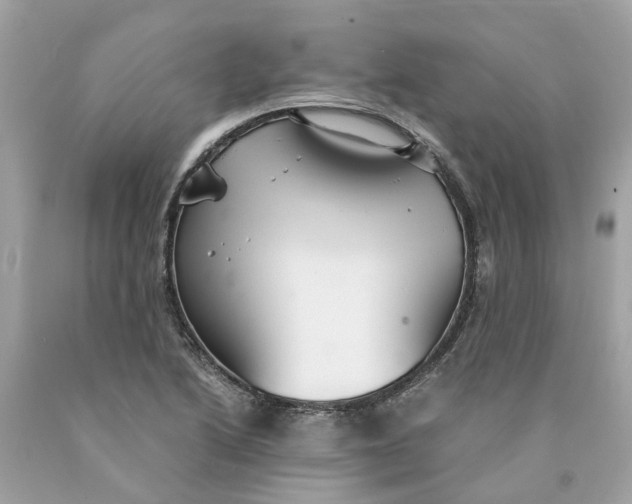 X0000089971222200707202003