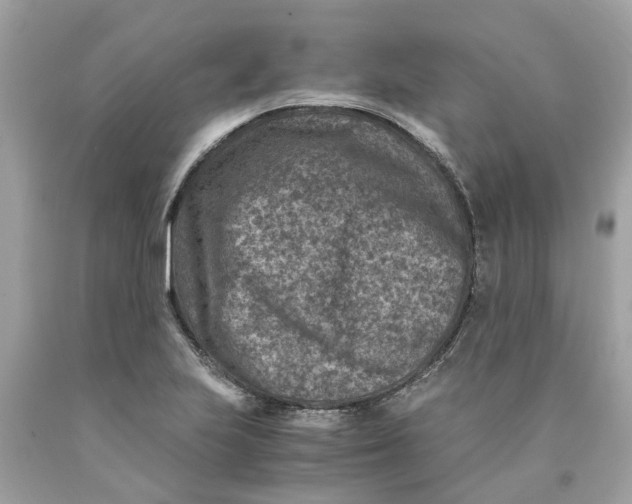 X0000089971223200707202003