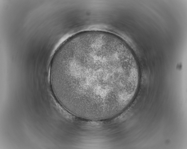 X0000089971224200707202003