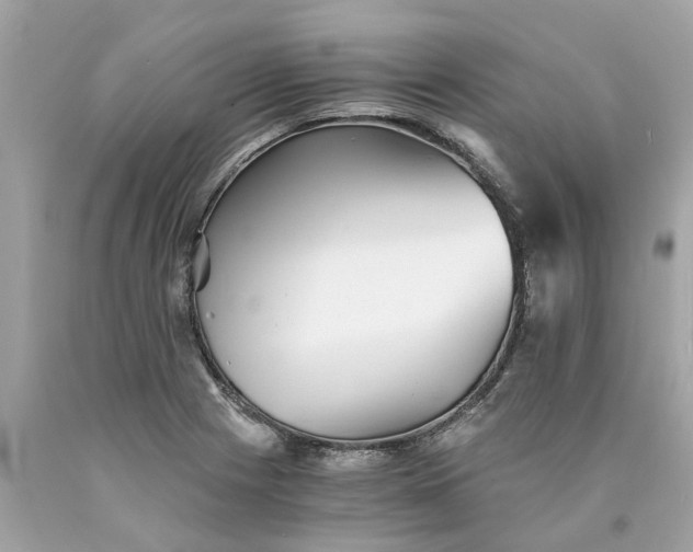 X0000089971225200707202003