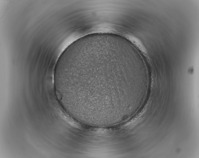 X0000089971226200707202003