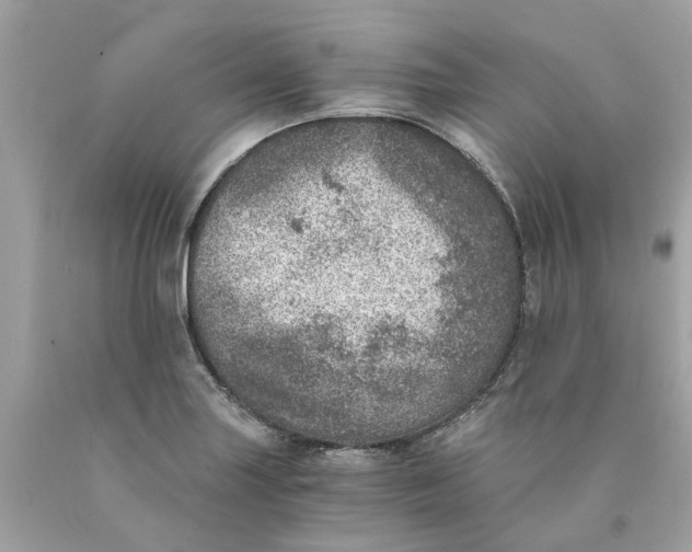 X0000089971227200707202003