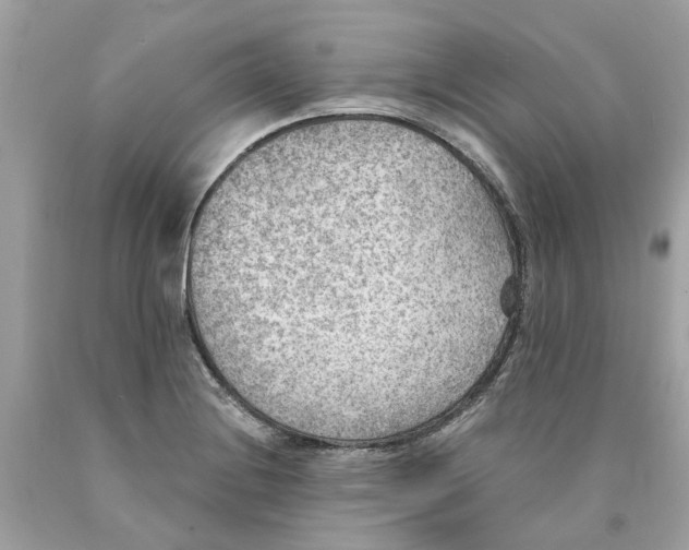 X0000089971228200707202003