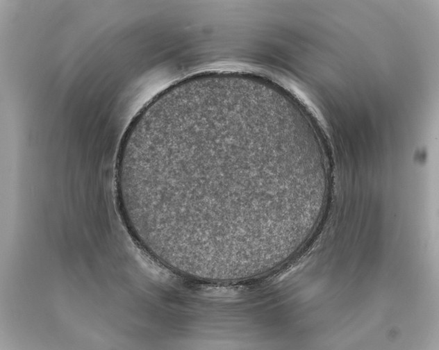 X0000089971229200707202003