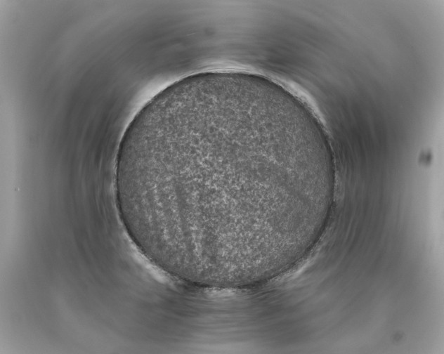 X0000089971231200707202003