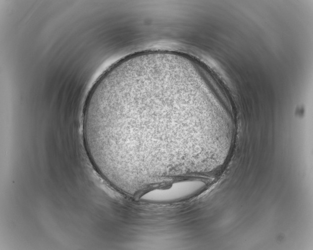 X0000089971232200707202003