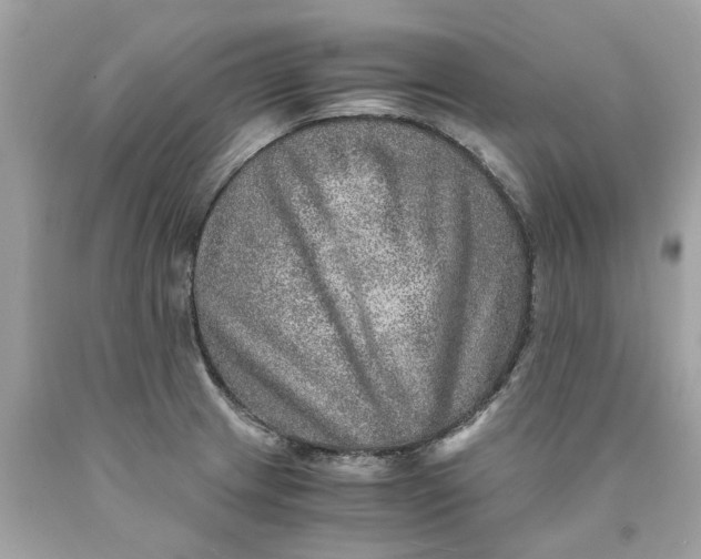 X0000089971233200707202003