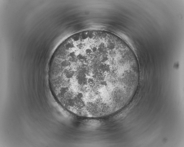 X0000089971235200707202004