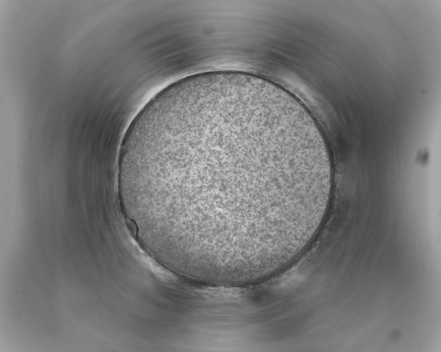 X0000089971236200707202004