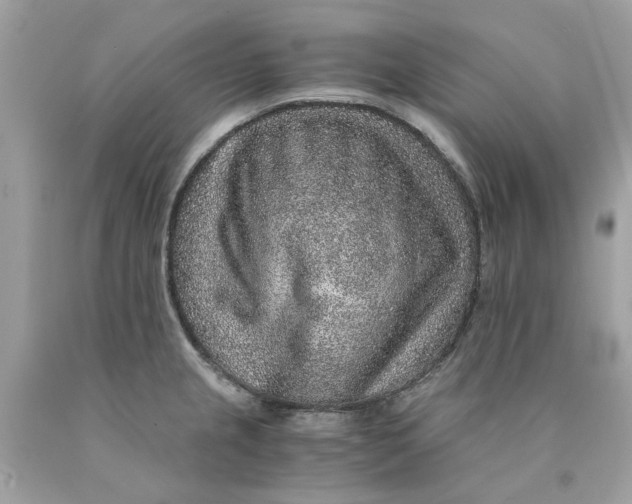 X0000089971237200707202004