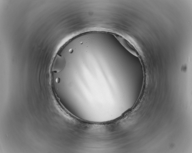 X0000089971238200707202004