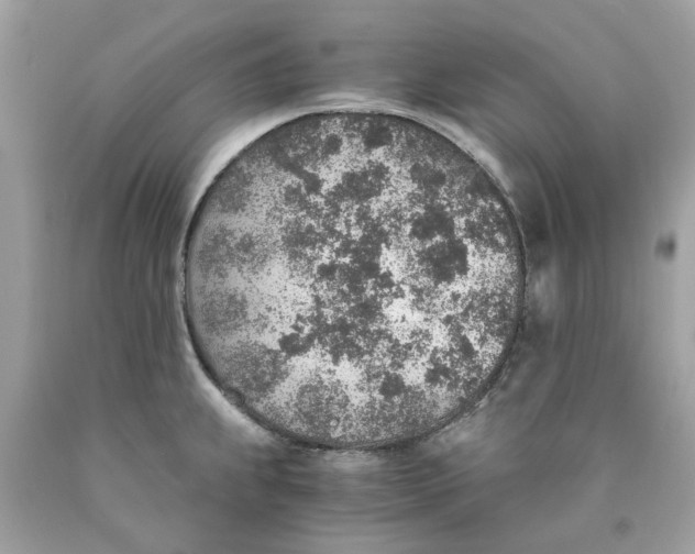 X0000089971239200707202004