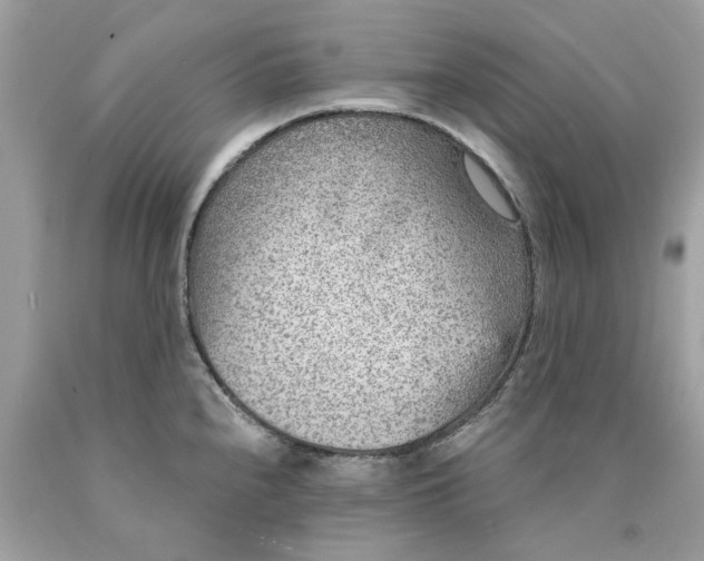 X0000089971240200707202004