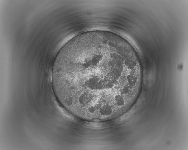 X0000089971241200707202004