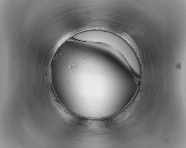 X0000089971242200707202004