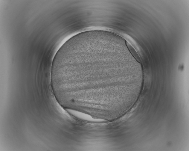 X0000089971244200707202004