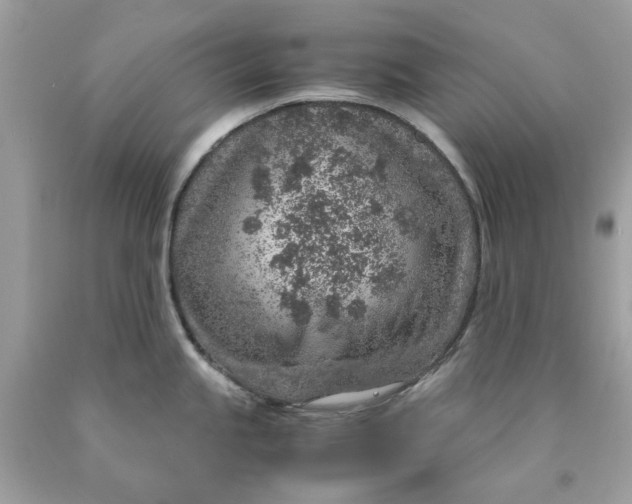 X0000089971245200707202004