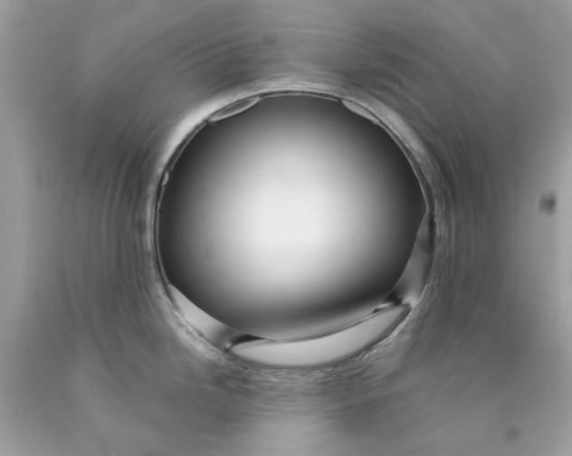 X0000089971246200707202004