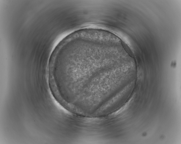 X0000089971247200707202004