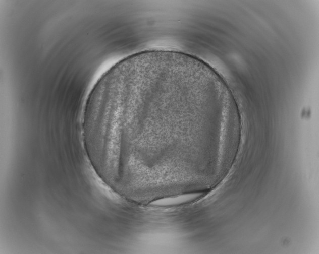 X0000089971248200707202004