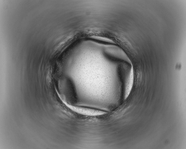 X0000089971250200707202003