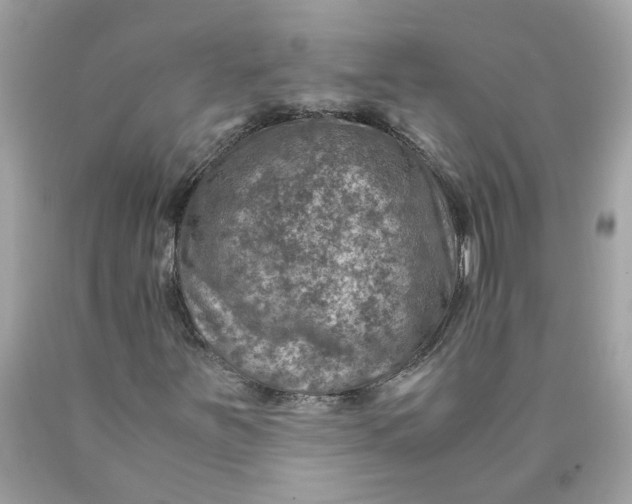 X0000089971251200707202003