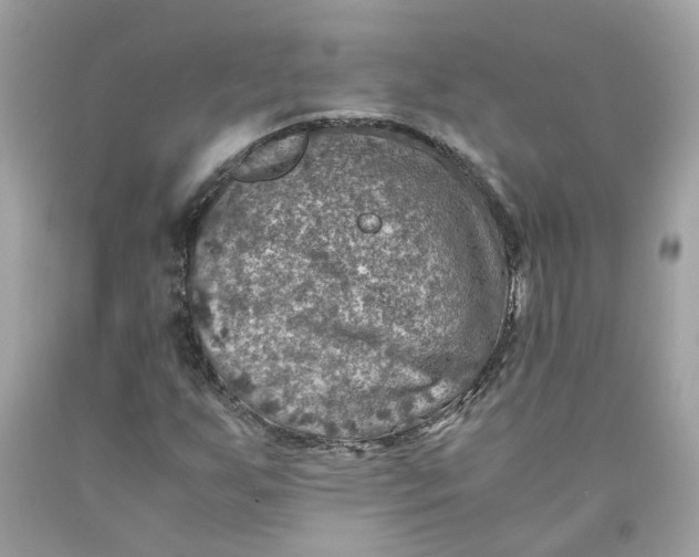 X0000089971255200707202003