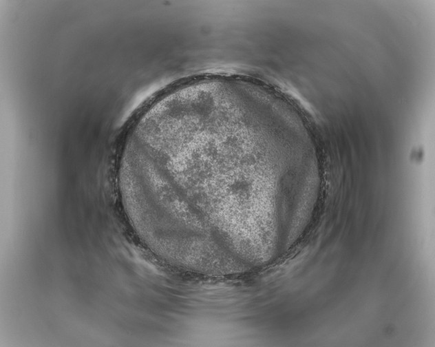 X0000089971256200707202003