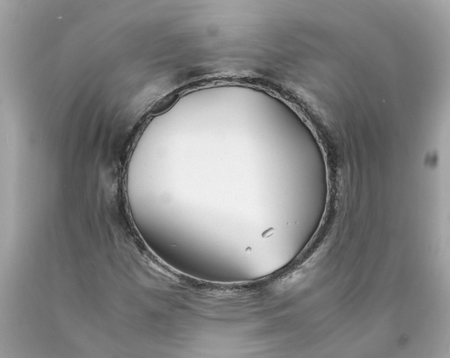 X0000089971257200707202003