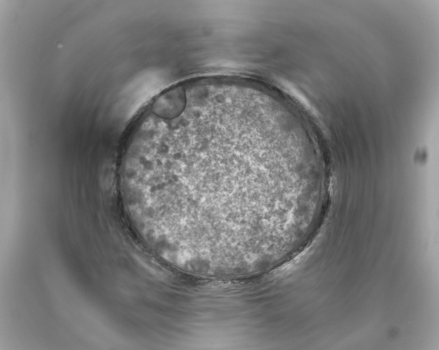 X0000089971259200707202003