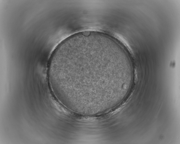 X0000089971260200707202003